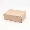CP0005-A.webp