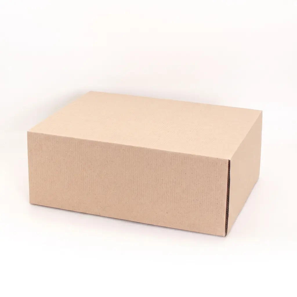 CP0006-A.webp